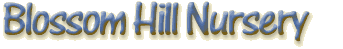 Blossom Hill Nurseries